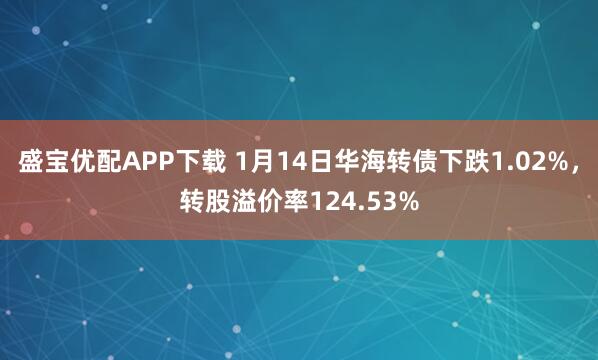 盛宝优配APP下载 1月14日华海转债下跌1.02%，转股溢价率124.53%